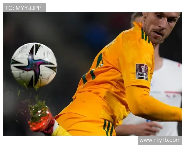 尼日利亚与捷克足球对决结果揭晓精彩瞬间回顾与分析